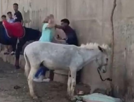 بعد الفيديو المثير للجدل بمصر.. الحكم على "ضا